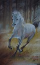 Cartoon: Horse (small) by boa tagged painting,color,oil,boa,romania,painter,landscape
