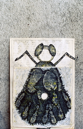 Cartoon: Fly (medium) by kirti ingerfurth tagged fly