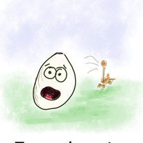 Cartoon: The Egg Series (medium) by hurvinek tagged eggs