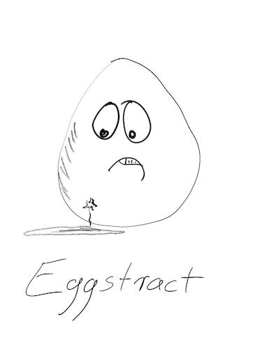 Cartoon: The Egg Series IV (medium) by hurvinek tagged eggs