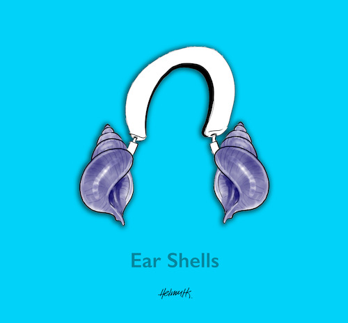 Cartoon: Ear Shells (medium) by helmutk tagged nature