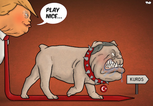 Cartoon: Play Nice (medium) by Tjeerd Royaards tagged turkey,erdogan,kurds,usa,syria,attack,turkey,erdogan,kurds,usa,syria,attack