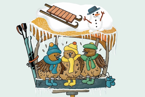 Cartoon: Winter (medium) by Ah-kreativ tagged winter,vögel,spatzen,kälte,schnee