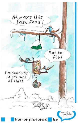 Cartoon: Fast Food (medium) by TomPauLeser tagged fast,food,birds,seed