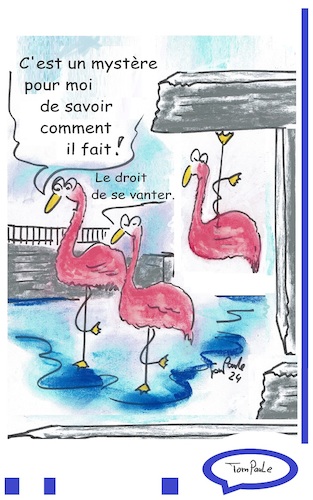 Cartoon: Flamants roses (medium) by TomPauLeser tagged flamants,roses,frimer,artiste,zoo,theatre,des,singes,mystere,savoir,cest,comment,fait,le,droit,de,se,vanter,animaux,oiseau,oiseaux