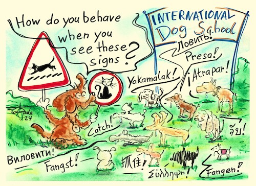 Cartoon: International Dog School (medium) by TomPauLeser tagged international,dog,school,cats,cat,sign,behave,behavior,dogs,learning,learn,teacher,wisperer