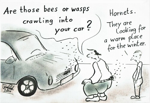 Cartoon: Wasps or bees ? (medium) by TomPauLeser tagged wasp,wasps,bee,bees,place,insect,winter,car