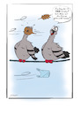 Cartoon: Freitag der 13. (small) by SandraNabbefeld tagged taube,tauben,vögel,alltag,humor,schräg,streetlife,sturm,wind,freitagderdreizehnte