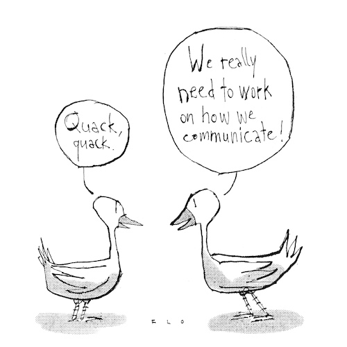 Cartoon: Quack (medium) by F L O tagged quack,duck,communication,quack,duck,communication
