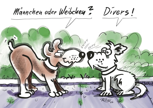 Cartoon: Männchen oder Weibchen? (medium) by Rudissketchbook tagged bunt,sexismus,diskriminierung,aktivismus,vielfalt,anders,moderne,zeiten