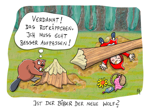 Cartoon: Ein Biber Märchen (medium) by Rebecca-Meyer tagged wolf,biber,rotkäppchen,naturschutz,eurasische,fällt,bäume,baut,burgen,dämme,staut,bäche,erschließt,lebensraum,der,neue,holzfäller,bedrohung,märchen,rebeccameyer,wald,baum,wolf,biber,rotkäppchen,naturschutz,eurasische,fällt,bäume,baut,burgen,dämme,staut,bäche,erschließt,lebensraum,der,neue,holzfäller,bedrohung,märchen,rebeccameyer,wald,baum