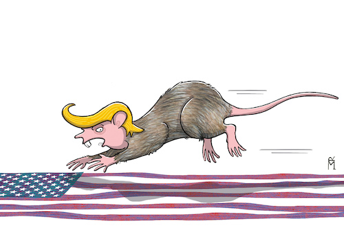 Cartoon: USA-Wahlen 2024 (medium) by Rebecca-Meyer tagged schock,wahl,amerika,us,präsident,trumps,sieg,und,harris,niederlage,america,first,biden,bundesregierung,bietet,zusammenarbeit,republikaner,konfrontation,wiederwahlinternationalen,gemeinschaft,washington,weiße,haus,ratte,flagge,wahlkampf,macht,senattrump,2024,präsidentschaftswahl,schock,wahl,amerika,us,präsident,trumps,sieg,und,harris,niederlage,america,first,biden,bundesregierung,bietet,zusammenarbeit,republikaner,konfrontation,wiederwahlinternationalen,gemeinschaft,washington,weiße,haus,ratte,flagge,wahlkampf,macht,senattrump,2024,präsidentschaftswahl