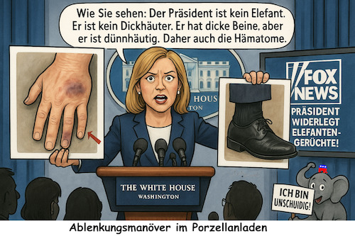 Sensible Themen (medium) Cartoon: Sensible Themen (medium) by ArtyFicial tagged usa,trump,gesundheit,hämatome,blaue,flecken,venöse,insuffizienz,dünnhäutig,dünne,haut,dicke,beine,elefant,porzellanladen,elephant,in,the,room,republikaner,maskottchen,icon
