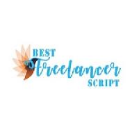 freelancerscript's avatar