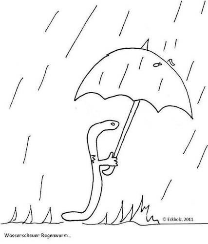 Cartoon: Wasserscheuer Regenwurm... (medium) by Kritzeltonne tagged regenwurm,wasser,regen,wurm,wasserscheu,tiere,würmer,natur,wetter,klima