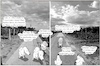 Cartoon: Frankenstein (small) by ChrisHolt tagged ki,vertrauen,dackelsicht