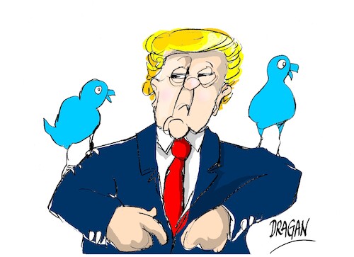 Cartoon: Donald Trump-The Birds (medium) by Dragan tagged donald,trump,the,birds,twiter