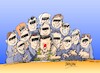 Cartoon: Volodimir Zelenski-aliados (small) by Dragan tagged volodimir,zelenski,ukrania