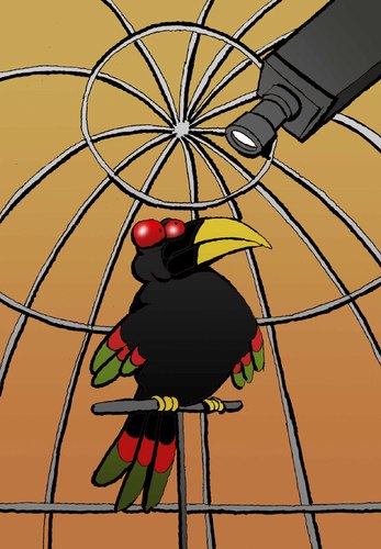 Cartoon: Bird Watcher... (medium) by berk-olgun tagged bird,watcher