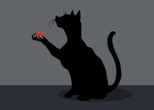 Cartoon: Black Cat... (medium) by berk-olgun tagged black,cat