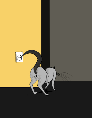 Cartoon: Curiosity Killed the Cat... (medium) by berk-olgun tagged curiosity,killed,the,cat