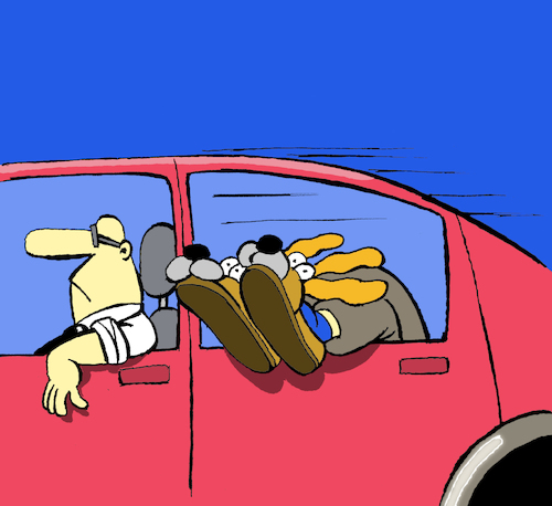 Cartoon: Dog Slippers... (medium) by berk-olgun tagged dog,slippers