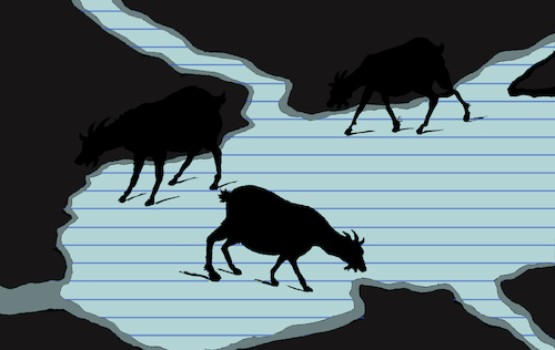 Cartoon: Goat vs Paper... (medium) by berk-olgun tagged goat,vs,paper