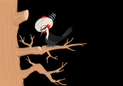 Cartoon: Hodja Nasreddin... (medium) by berk-olgun tagged hodja,nasreddin
