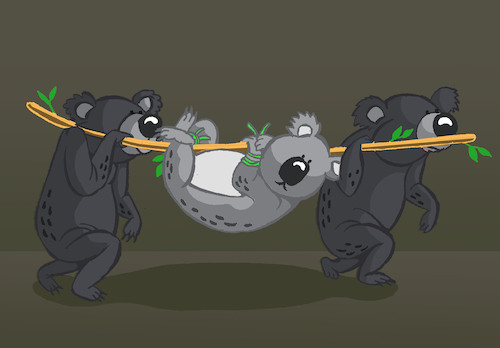 Cartoon: Koala... (medium) by berk-olgun tagged koala