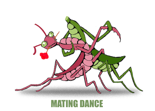 Cartoon: Maiting Dance... (medium) by berk-olgun tagged maiting,dance