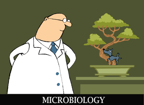 Cartoon: Microbiology... (medium) by berk-olgun tagged microbiology