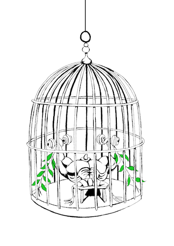 Cartoon: Prisoner Pigeon... (medium) by berk-olgun tagged prisoner,pigeon