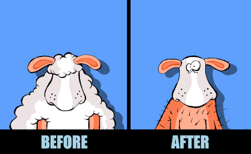 Cartoon: Sheep Diet... (medium) by berk-olgun tagged sheep,diet