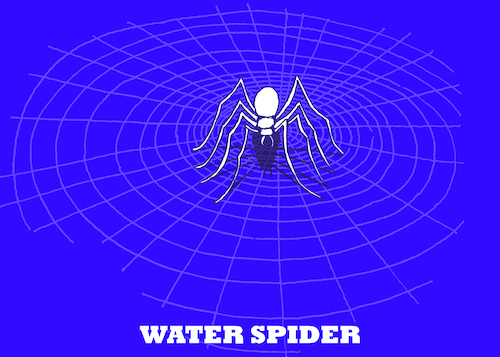 Cartoon: Spider Web... (medium) by berk-olgun tagged spider,web