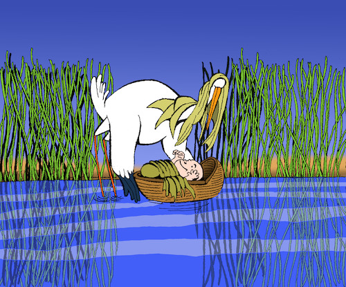 Cartoon: Stork... (medium) by berk-olgun tagged stork