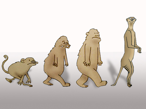 Cartoon: The Big Mistake.. (medium) by berk-olgun tagged meerkat