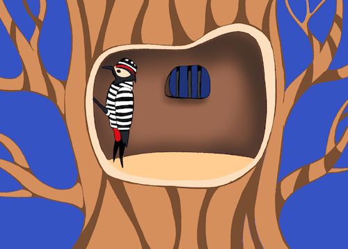Cartoon: Woodpecker... (medium) by berk-olgun tagged woodpecker