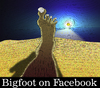Cartoon: Bigfoot... (small) by berk-olgun tagged bigfoot