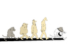 Cartoon: Evolution... (small) by berk-olgun tagged evolution