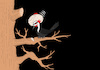 Cartoon: Hodja Nasreddin... (small) by berk-olgun tagged hodja,nasreddin