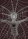 Cartoon: Man Spider... (small) by berk-olgun tagged man,spider