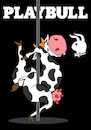 Cartoon: Playbull... (small) by berk-olgun tagged playbull