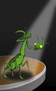 Cartoon: Praying Mantis... (small) by berk-olgun tagged praying,mantis