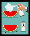 Cartoon: Seedless Watermelon... (small) by berk-olgun tagged seedless,watermelon