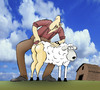 Cartoon: Sheep Shearing... (small) by berk-olgun tagged sheep,shearing