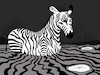 Cartoon: Zebra... (small) by berk-olgun tagged zebra