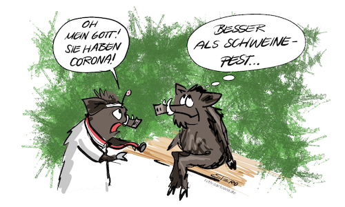Schweinepest contra Corona Schweinepest contra Corona