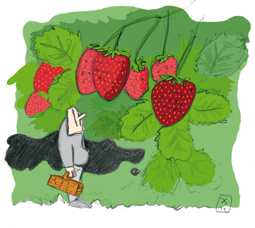 Cartoon: Anspruch und Wirklichkeit (medium) by jen-sch tagged erdbeere,erdbeeren,ernte,feld,erdbeerernte,pflücken,erdbeerfeld,trübsinn,sommer,tantalos