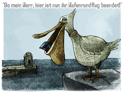 Cartoon: hafenrundfahrt (medium) by jenapaul tagged humor,pelikan,fisch,hafen,meer