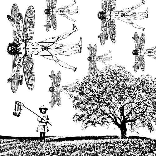 Cartoon: Dragonfly (medium) by zu tagged dragonfly,vitruvian,lepidopterist